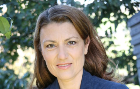 Prof. Dr. Sandra Eckert