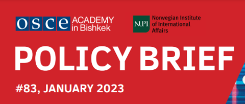 Policy Brief