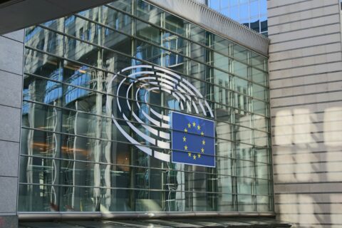 Zum Artikel "Thomas Demmelhuber im Europäischen Parlament: Autokratien und Wahlen"