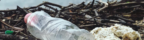 Angespülte Plastikflasche am Strand